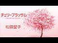 チェリーブラッサム / 松田聖子 Seiko Matsuda  (歌詞付き) Cover