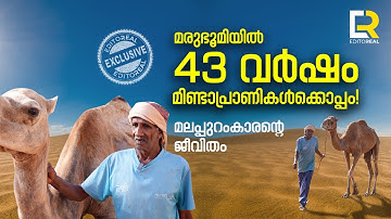 43 വർഷം മരുഭൂമിയിൽ ഒട്ടകങ്ങൾക്കൊപ്പം കഴിഞ്ഞ മലപ്പുറം കാരൻ | EDITOREAL |ARUN RAGHAVAN