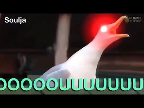 inhaling-seagull-meme-compilation-(2018)