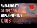 🔹Чувствовать за пределами ограниченных слов