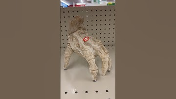 Animated Haunted Hand💊CVS 2025!