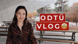 Tüm Amfi̇ye Rezi̇l Oldum ?