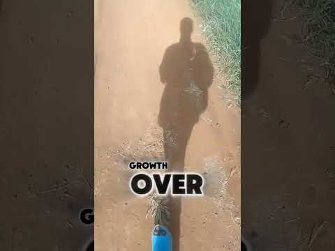 You Can T Change Life In A Day