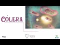 Aula 09: O Cólera ou como nasceu a Epidemiologia