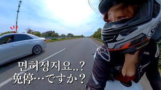 고속도로에서 암행순찰차에게 잡혀버렸다 l 면허정지요...? l MotoVlog screenshot 5