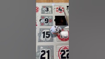 Star Wars Funko Calendar opening day 10