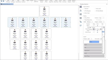 OrgCharting - How to Change the Content Displaying on the Shapes