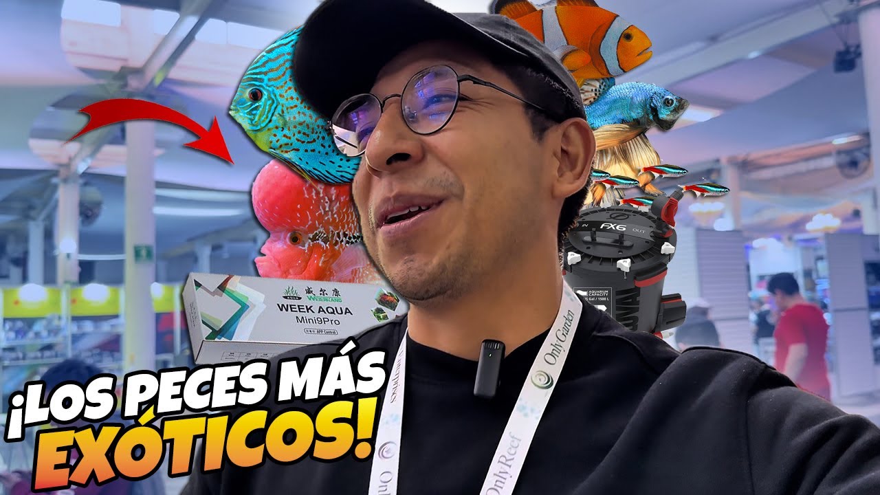AquaFest 2025 | El Evento de Peces Más Grande De México 🇲🇽 