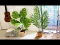 【100均DIY】モンステラとケンチャヤシの鉢植えを作りました＊