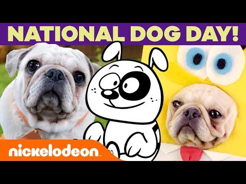 Video: Vier National Dog Day Met Anthony Anderson En Autotrader