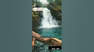 جمعة مباركة..تلاوة خاشعة تريح القلب..