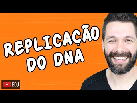 Vídeo: Diferença Entre PCR E Replicação De DNA