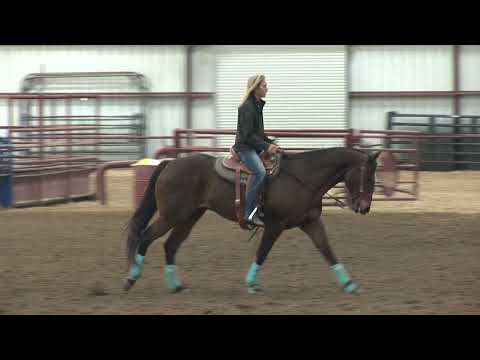 Videó: Horse Training Tips: Hogyan kell vonatozni a hordóversenyhez, videóval