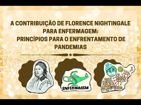 A contribuição de
