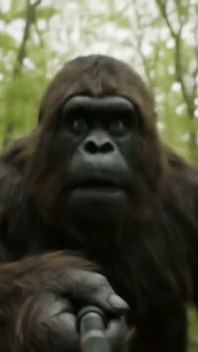 Bigfoot Vs Superman Part 2 🤣 #everyone #ai #veo3 #viral #watch