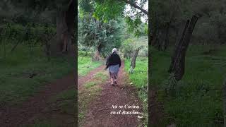 Como Cuando Era Niña Salí a Correr en Este Día Tan Fresco 😊#shorts #rancho #comida