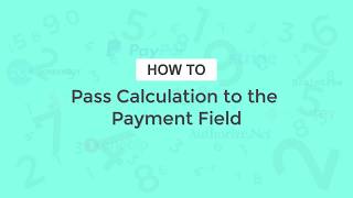 Pass a Calculation to the Payment Field