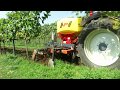 Ps 500 fertilizer in vineyard