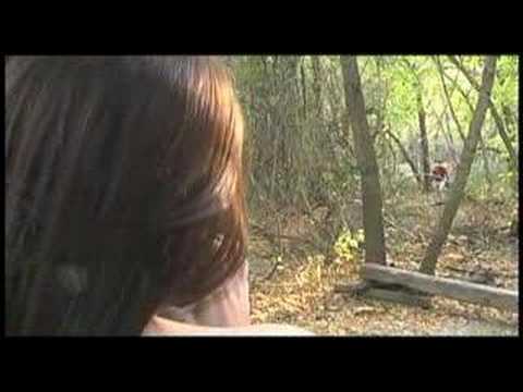 Ranker Video