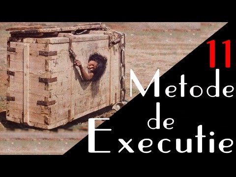 Video: Aplicații Cerealiere: Metode De Execuție