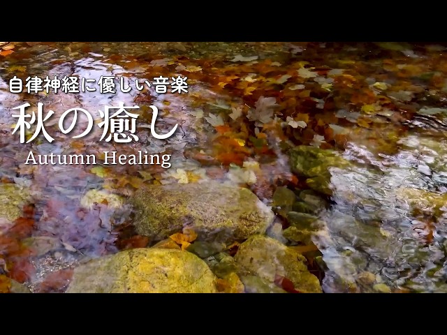 【自律神経にやさしい音楽】ヒーリング音楽と自然音で交感神経を減衰、副交感神経を促進させリラックス 不眠や疲労感を解消【めまい・耳鳴り・不安感・恐怖・イライラ・食欲不振・不眠】