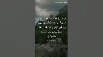 من سورة الزخرف _ الشيخ أحمد النفيس