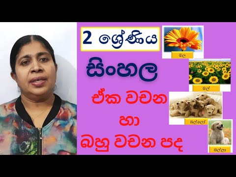 GRADE 2 SINHALA | 2 ශ්‍රේණිය සිංහල - ඒක වචන හා බහු වචන පද - Jagathi Teacher