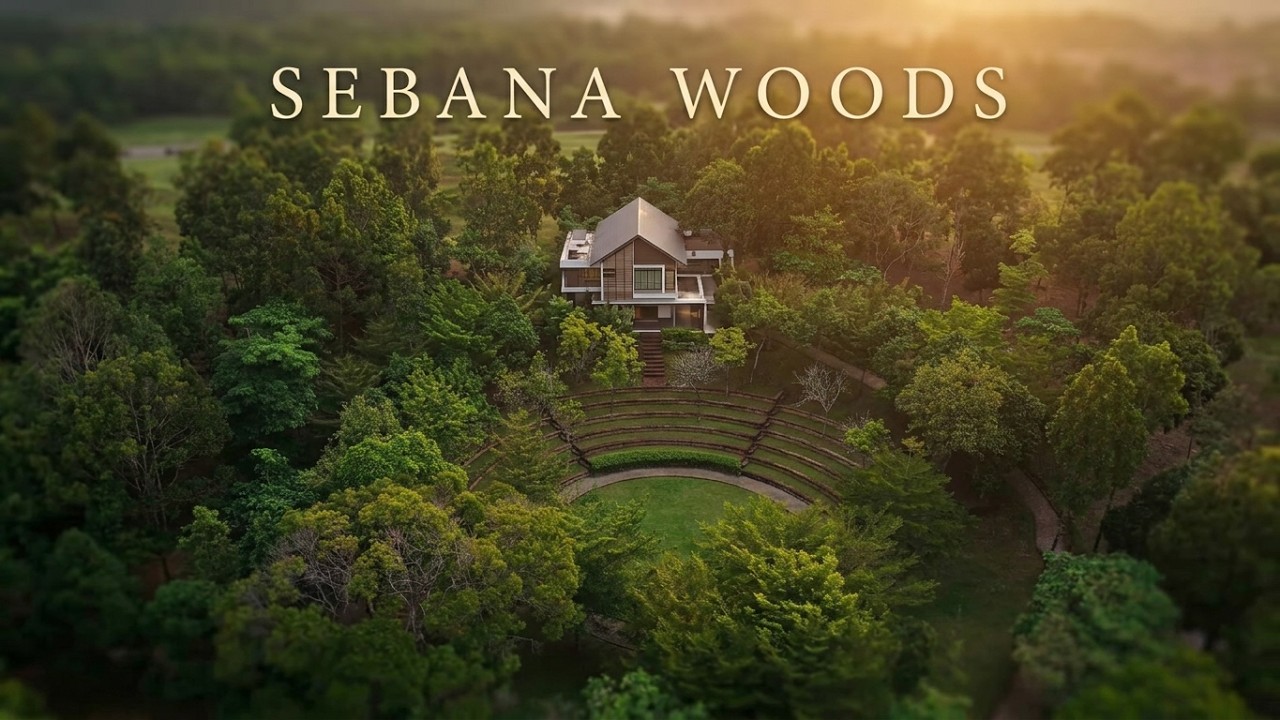 Sebana Woods from the air