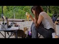 雨宿りする猫と、友達と囲む炭火焼き鳥｜雨キャンプ ASMR