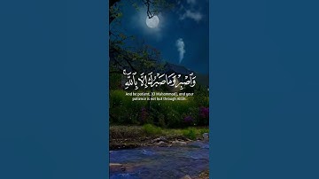 واصبر وما صبرك إلا بالله / القارئ عمر شريف #سورة #النحل #القرآن_الكريم #الصبر #اكسبلور