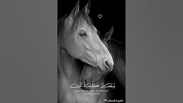 { إذ يقول لصاحبه لا تحزن إن الله معنا }  قرآن كريم سورة التوبة للقارئ أحمد نفيس #استماع_وتلاوة #قرآن