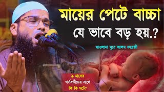 “মায়ের পেটে বাচ্চা” যে ভাবে বড় হয়. মাওলানা নুরে আলম ফয়েজী || Mawlana Nore Alam Fayzi || New Waz