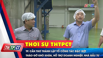 TP. Cần Thơ thành lập tổ công tác đặc biệt tháo gỡ khó khăn, hỗ trợ doanh nghiệp, nhà đầu tư