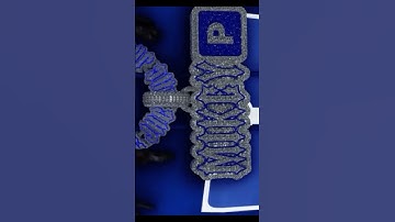Making A Custom GTA 5 / FiveM Chain Set 🥶🔥😤 #Shorts #GTA5 GTAV #GTARP #FiveM #blender