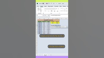 CountIFS in Microsoft Excel #exceltrips #exceltricks #formula #exceltutorials #microsoftexcel