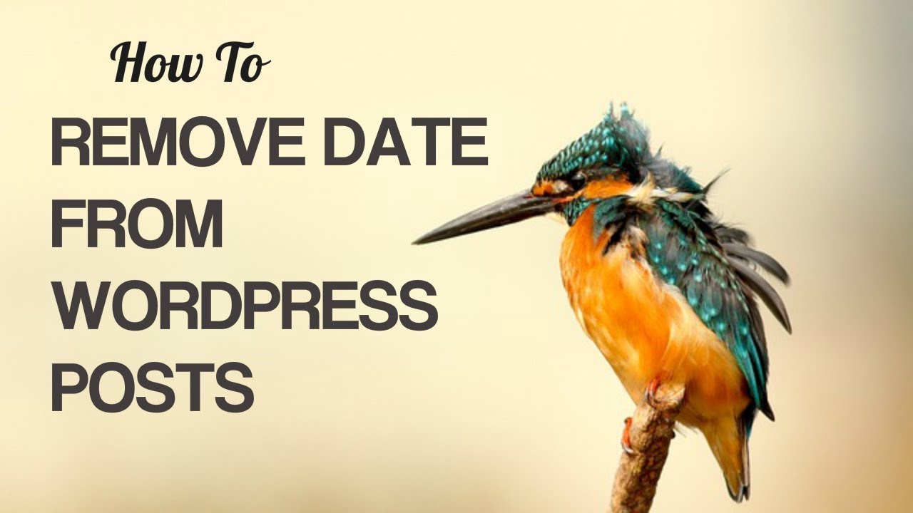 Remove Date From WordPress Posts YouTube