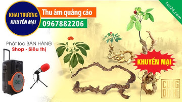 Thu âm lời bình TVC quảng cáo Cung Đình food MC nữ giọng miền Nam