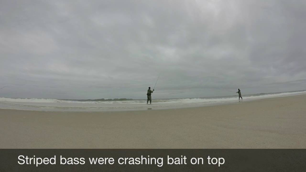 Jones Beach Striped Bass 2016 YouTube