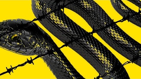 Thumbnail of Post Malone - rockstar (Megamix) ft. Lil Wayne, 21 Savage, Galaxy Goats, Jadakiss, T-Pain...