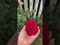 Добрый день 21.08.2025