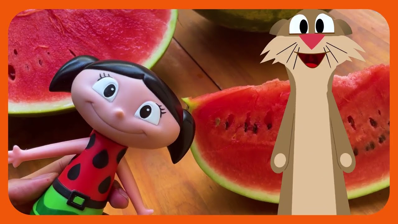 BONECAS DA LUNA - CARDOSO TOYS l O Show da Luna!