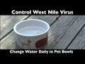 West nile virus information