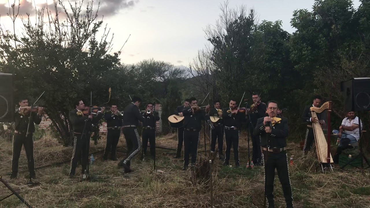 El árbol mariachi imperial de Nochistlan Zacatecas YouTube