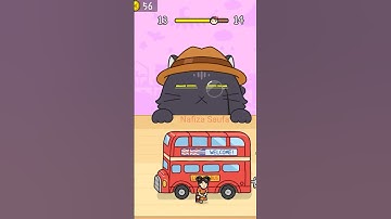 Hide And Seek : Cat Escape ❗🐱🐱 💞   Level 13   #Shorts