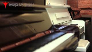 Мир музыки - центральный магазин Мир музыки - центральный магазин