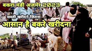 अजमेर मंडी में किसानों के हाल | बहुत आसान है यहां से बकरे खरीदना | ajmer bakra mandi | pkraj vlogs