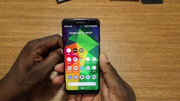 I updated my Pixel 3 to Android Q