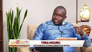 TIIRA MUURU