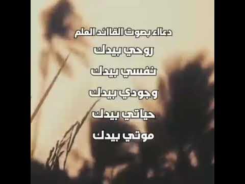 دعاء انا لاشي امامك يارب دعاء بصوت السيد عبدالملك ابن بدر الدين
