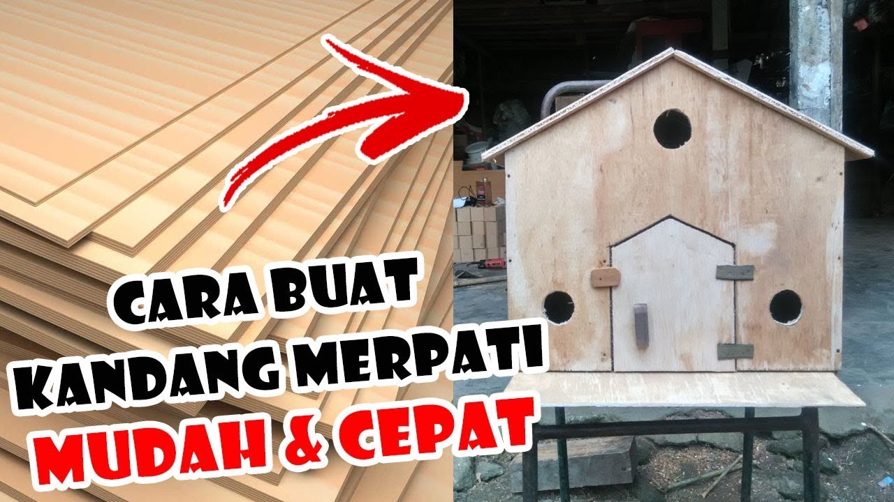 Bikin Kandang Merpati Sederhana Murah Meriah Youtube